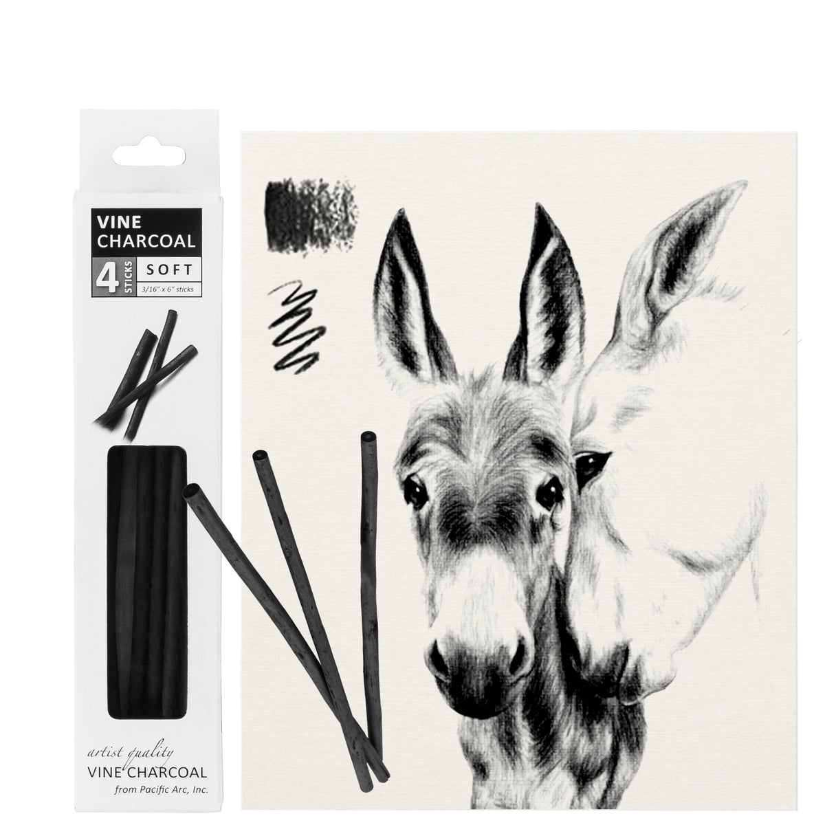 Pacific Arc - Artist Vine Charcoal, Soft, Black 4 Charcoal Sticks for Drawing, Sketching, and Fine Art