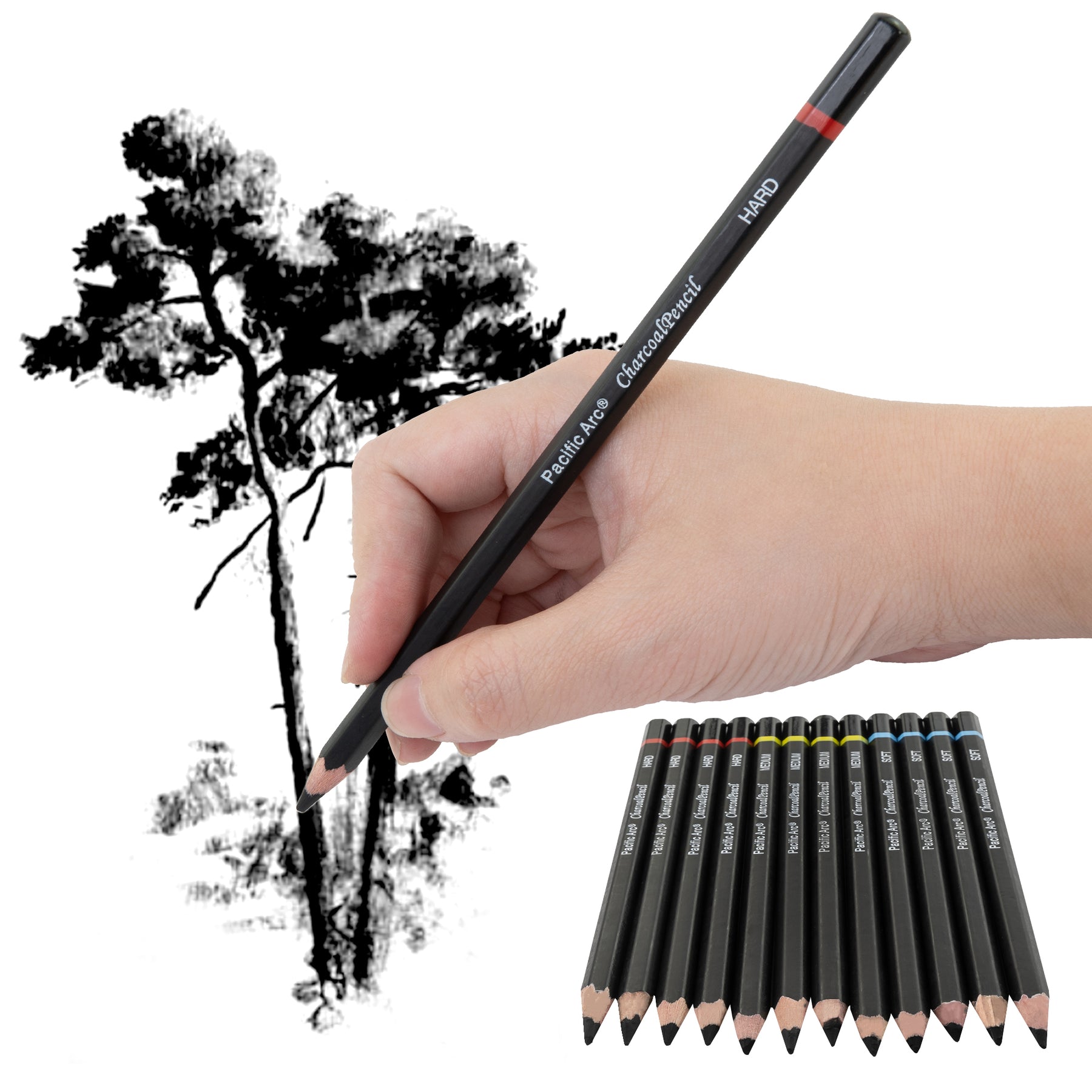 Premium Charcoal Drawing Pencils for Artists - 6 Pieces Soft Medium and  Hard - Charcoal Pencils for Drawing, Sketching and Shading - Great Non  Toxic