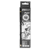 Premium Charcoal Drawing Pencils for Artists - 6 Pieces Soft Medium and Hard - Charcoal Pencils for Drawing, Sketching and Shading - Great Non Toxic Art Supplies Set for Adults and Kids
